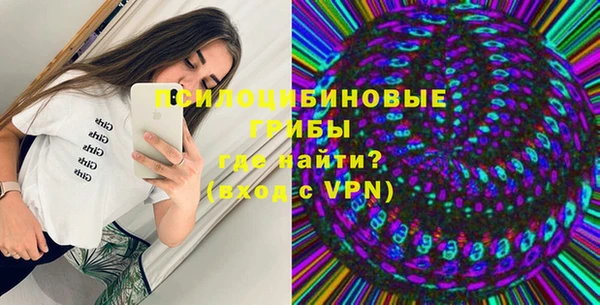 сатива Волосово