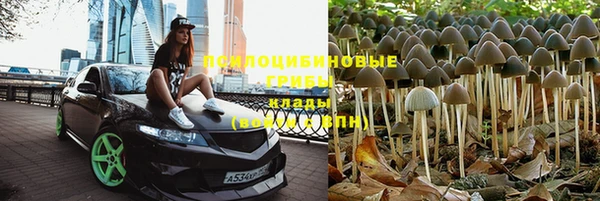 тгк Волоколамск