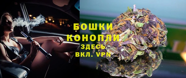 сатива Волосово