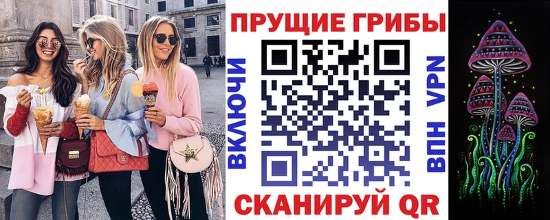 Псилоцибиновые грибы мицелий Дедовск