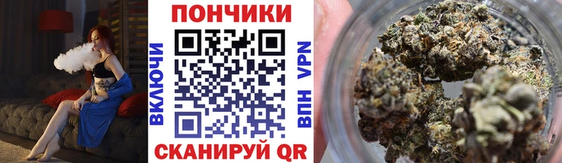 хочу наркоту  Дедовск  Конопля ГИДРОПОН 